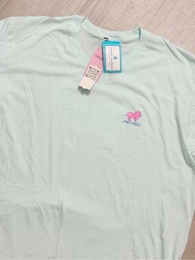Women’s Mint Green Short-Sleeve Tee with Pink Lion Graphic
